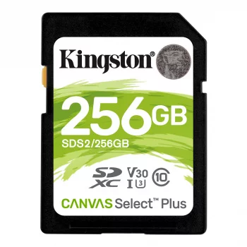 Изображение sds2-256gb Картинка sds2-256gb