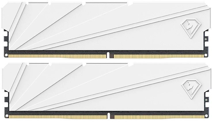 Netac Shadow S 16GB (2x8GB) DDR4-3200 (PC4-25600) C16 White 16-20-20-40 1.35V XMP Dual DIMM Kit (NTSSD4P32DP-16W)