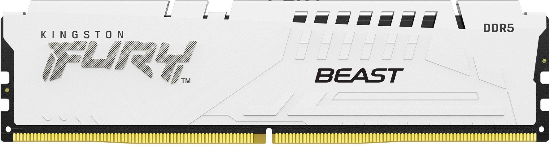 Модуль памяти Kingston 32GB DDR5 6000MHz DIMM FURY Beast White EXPO CL36 (KF560C36BWE-32)