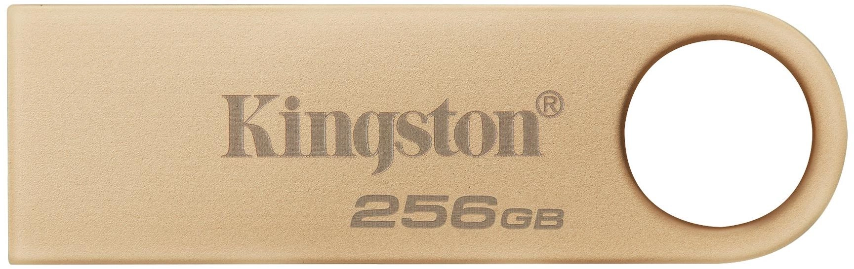 Картинка dtse9g3-256gb
