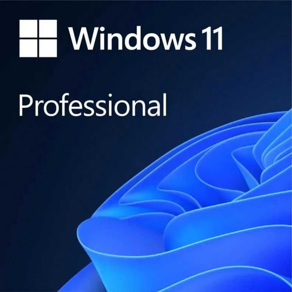 Операционная система Microsoft Windows 11 Professional Конверт OEM (FQC-10547) (FQC-10547_L)