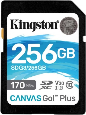 Картинка sdg3-256gb
