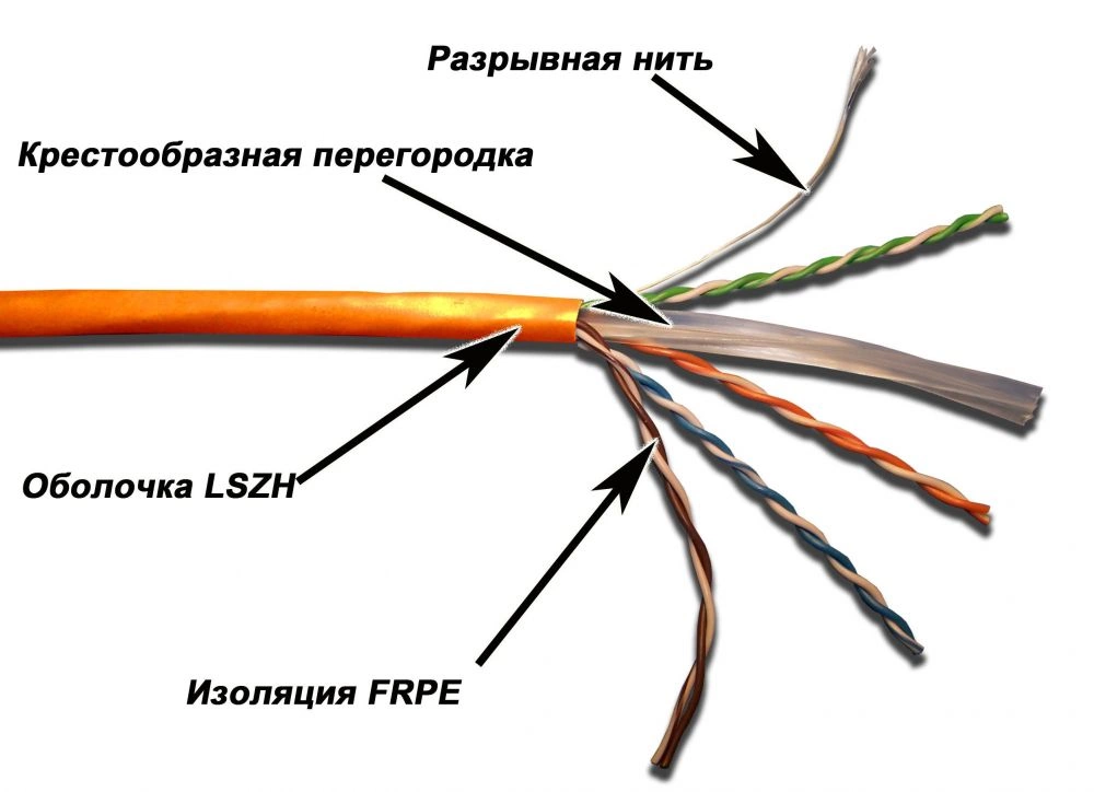 Картинка twt-6utp-lszh
