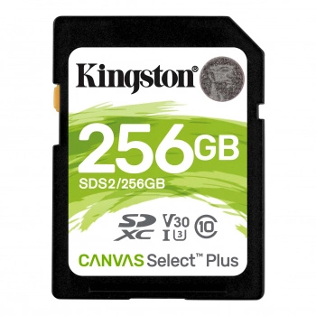 Картинка sds2-256gb
